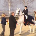 First Altenfelden Horses Sport EVENT 2009.The CDN was organized from the UNION REIT und FAHRVEREIN first time in April begin of the Year which offer them a good starter feeld more then 100 Starts at the CDN 2009 on 4th April . Winner of the first CDN is Ms. Zöchbauer with an Kladruby Horses from KLADRUBERZENTRUM Altenfelden.